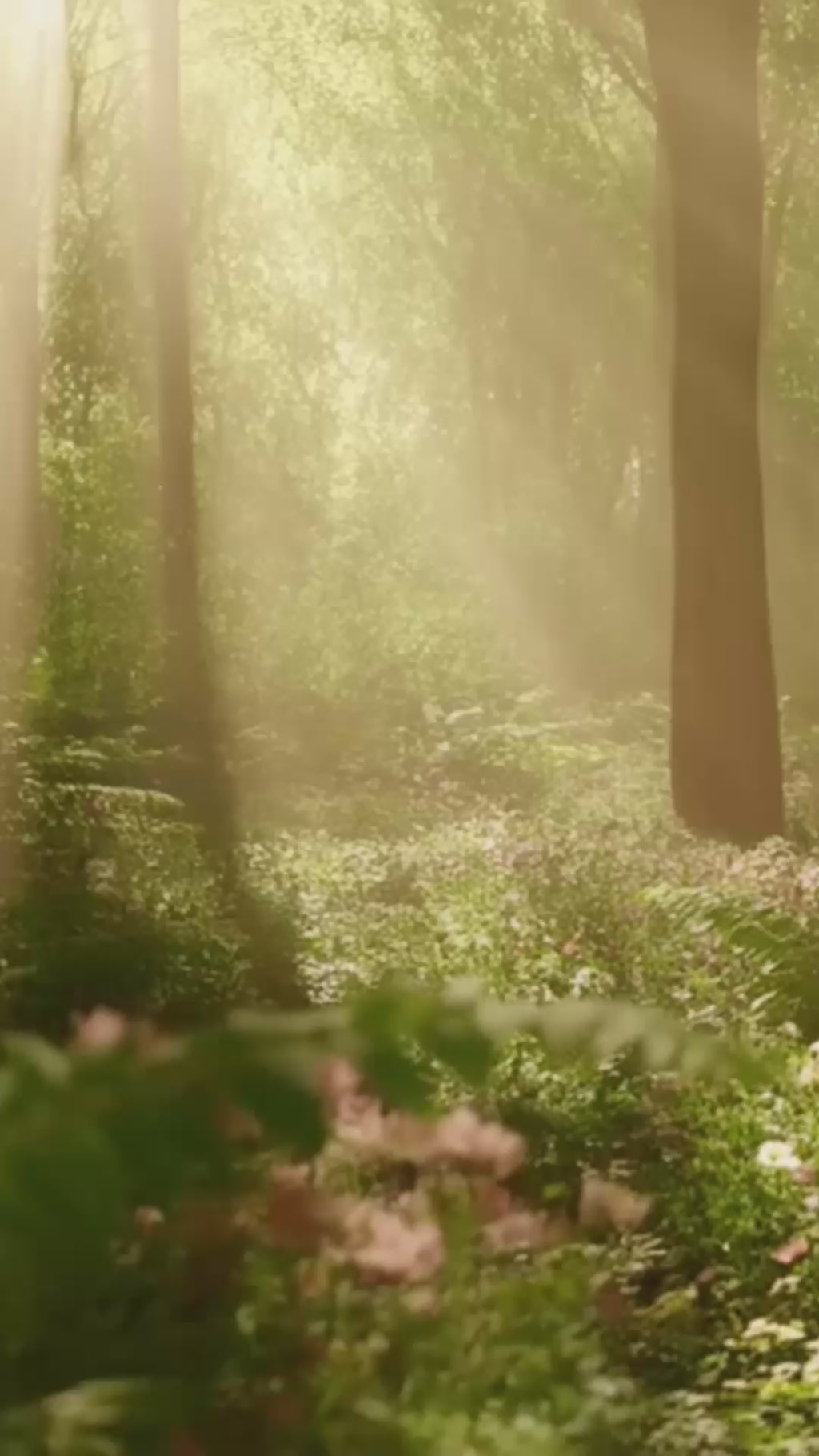 Venus Love Mail Club